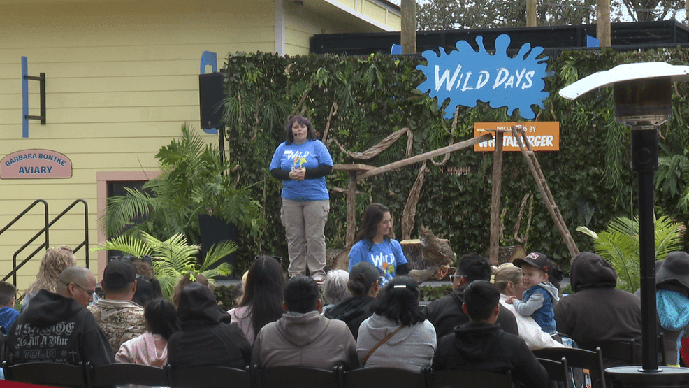Spring breakers take over the Abilene Zoo for Wild Days event