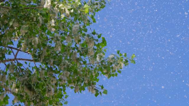 Experts issue warning as allergy season grows across the US